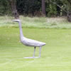 geese